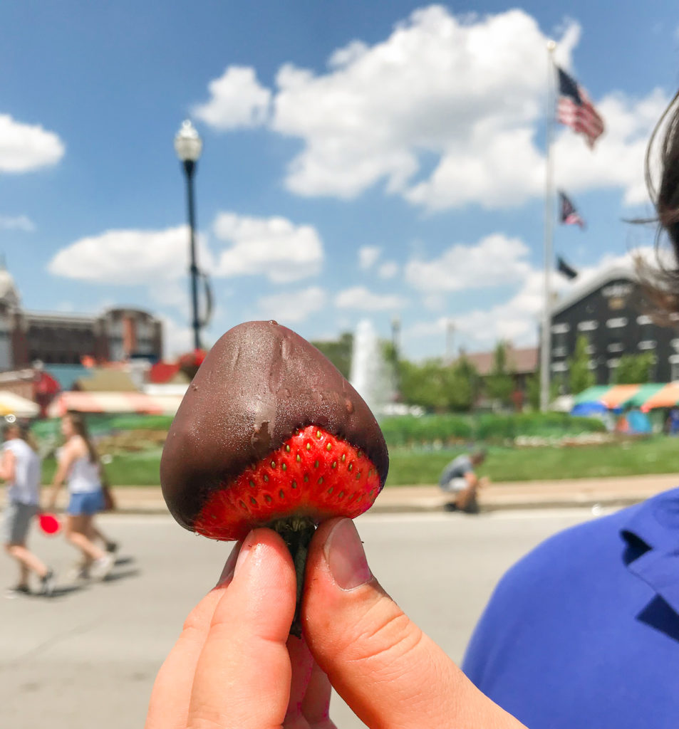 A chocolate-covered strawberry in Troy, Ohio