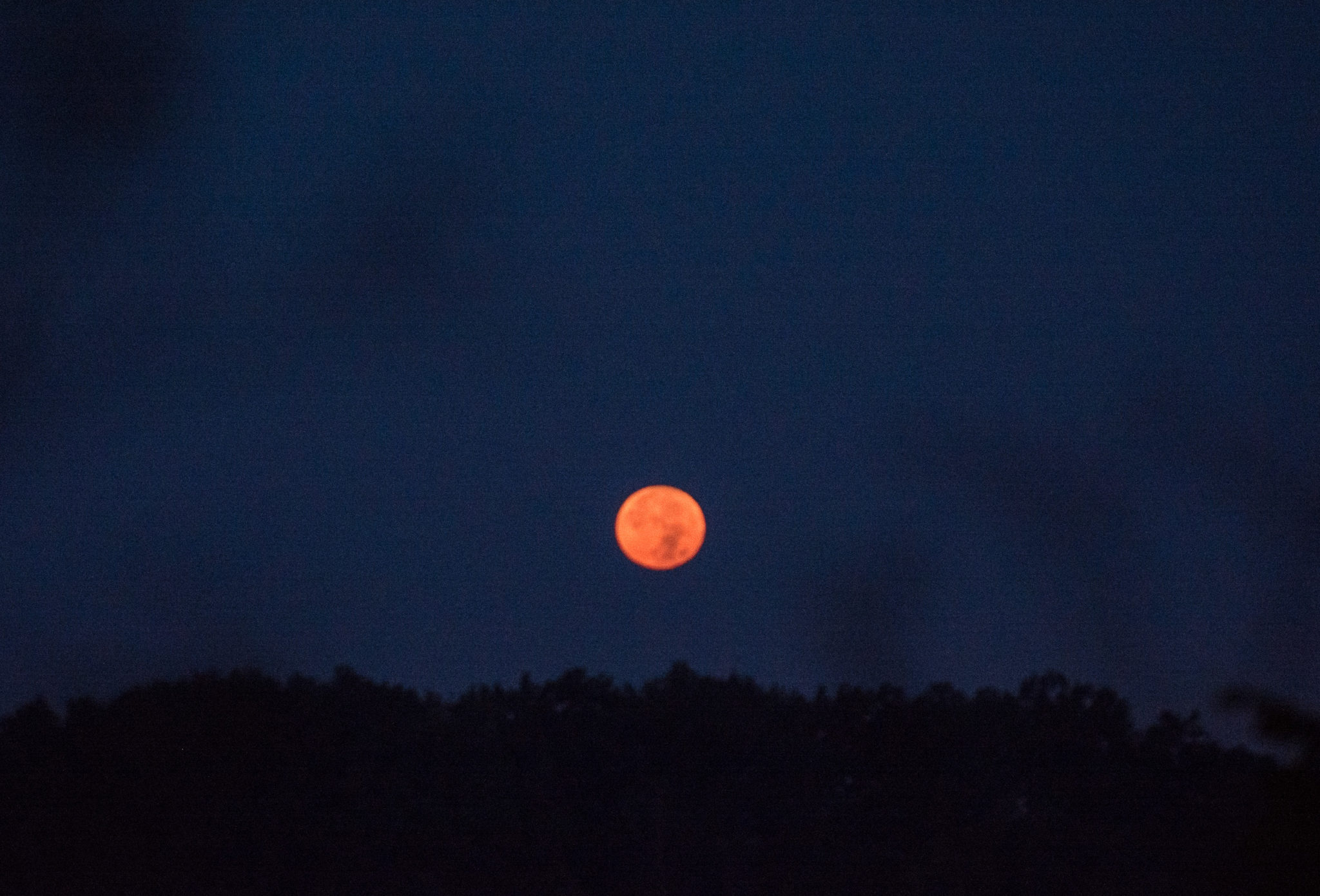 Late Days of Summer in Ohio