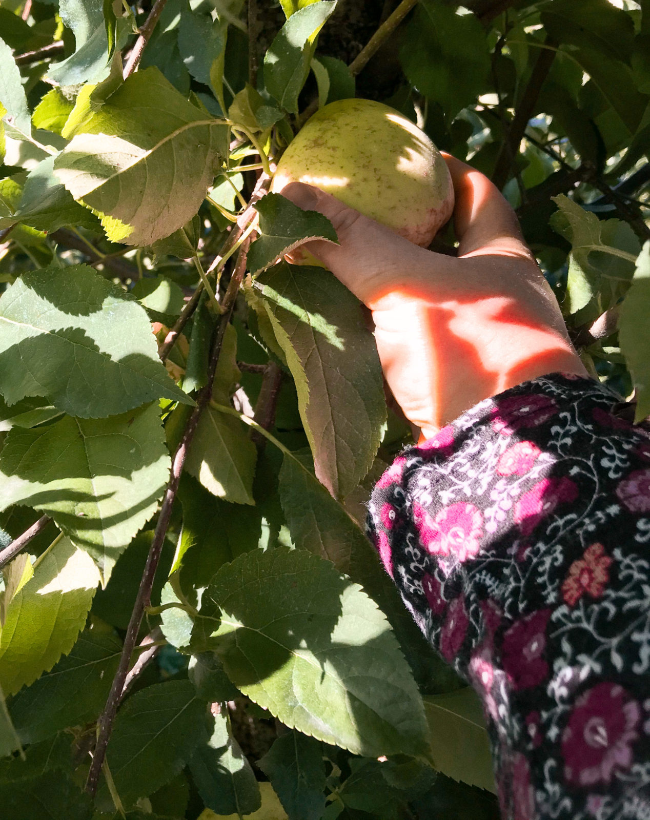 Ohio Puco Apples To Apples 00 - badwxdo