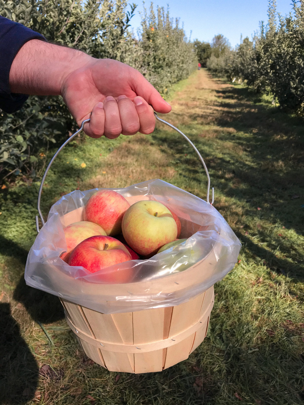 Ohio Puco Apples To Apples 00 - kqwbrd5