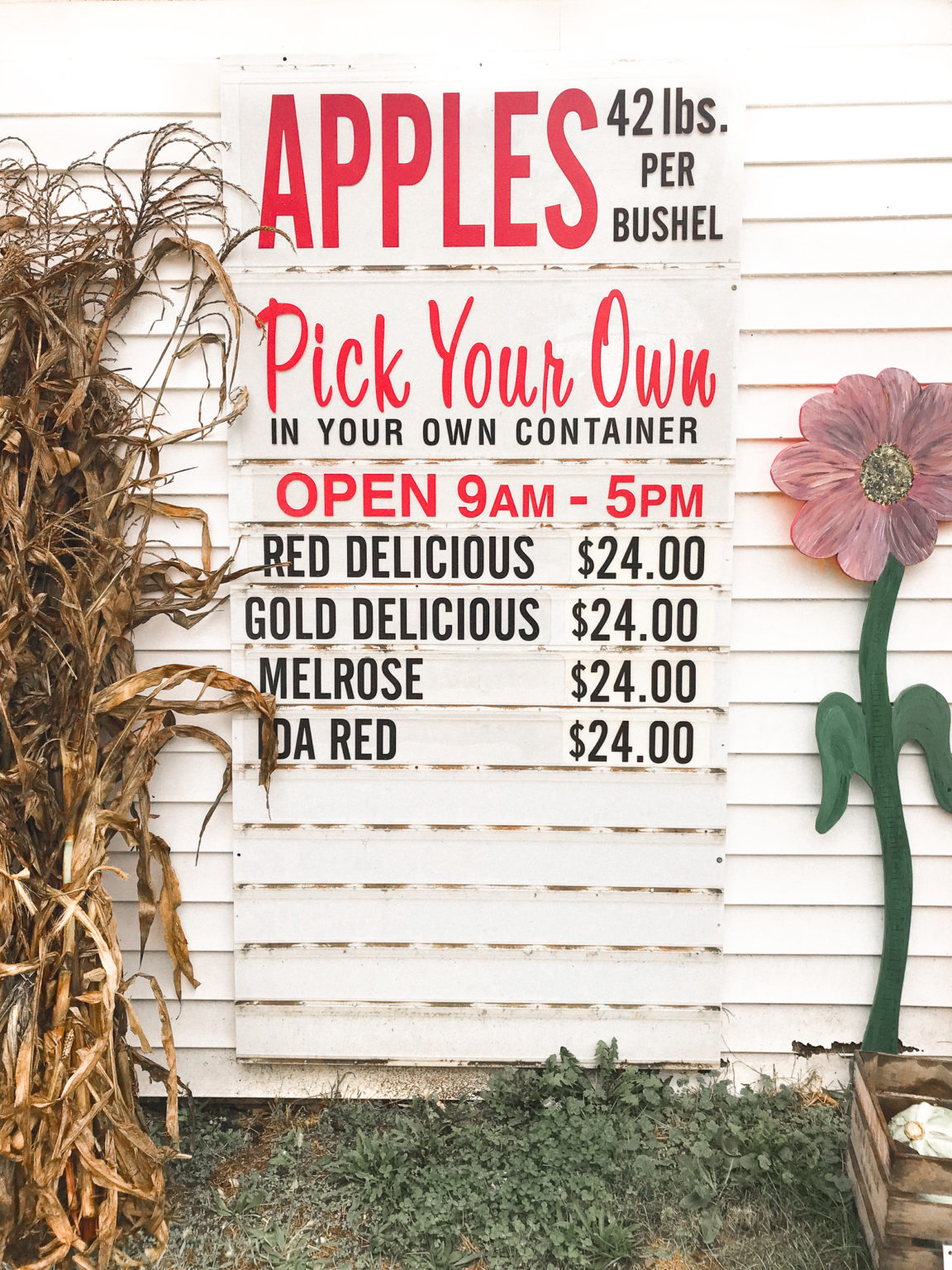 How 'Bout Them Ohio Apples?