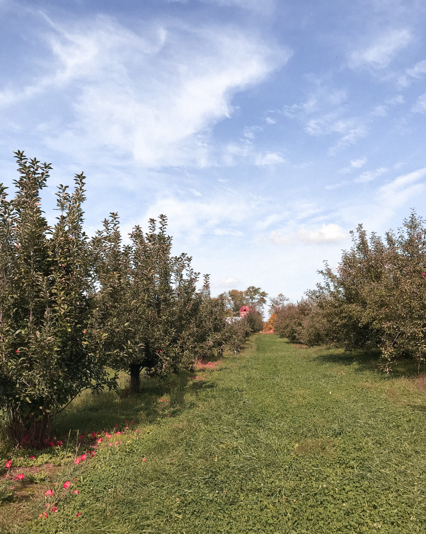 Ohio Puco Apples To Apples 00 - snfkd3p